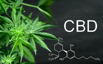 What it is CBD?