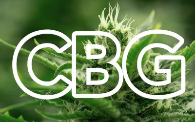 CBG benefits and properties CBG benefits and properties