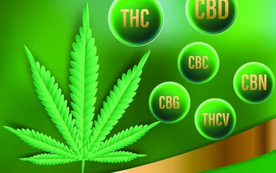 A list of major cannabinoids