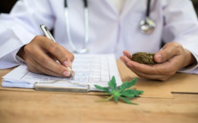 CBD: 10 Must know Science based Facts