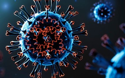 Corona virus: Cannabis prevents its multiplication, research proves. Corona virus: Cannabis prevents its multiplication, research proves.