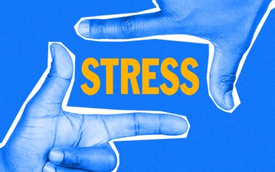 How can CBD help reduce stress? How can CBD help reduce stress?