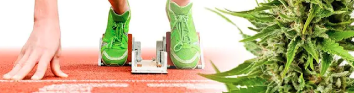 CBD and Fitness: An absolute ally for athletes.