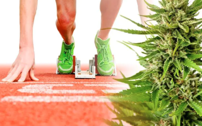 CBD and Fitness: An absolute ally for athletes.