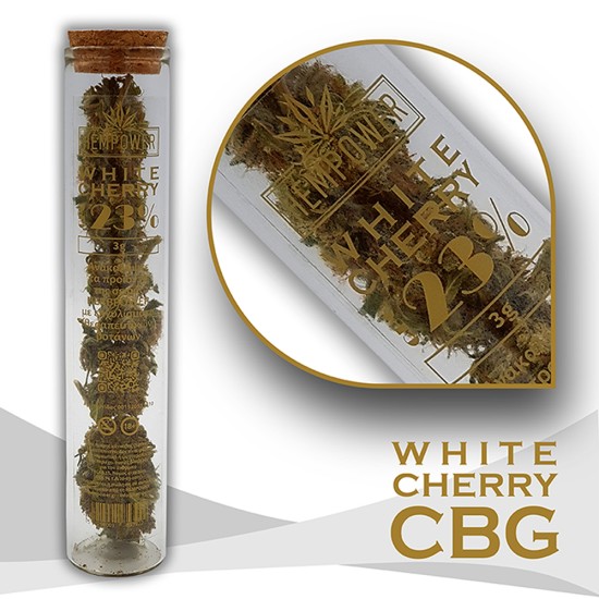 3G TUBE Hempower Ανθός Κάνναβης WHITE CHERRY 23% CBG 3G TUBE Hempower Ανθός Κάνναβης WHITE CHERRY 23% CBG