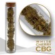 3G TUBE Hempower Ανθός Κάνναβης WHITE CHERRY 23% CBG 3G TUBE Hempower Ανθός Κάνναβης WHITE CHERRY 23% CBG
