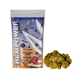 Hempower CBD Flower "Amazing Haze" 100% CBD 10G