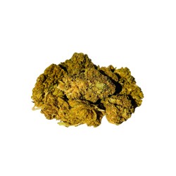 Hempower CBD Flower "Amazing Haze" 100% CBD 10G