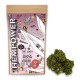 Hempower Ανθός Κάνναβης "Black Widow" 100% CBD 10G Hempower Ανθός Κάνναβης "Black Widow" 100% CBD 10G