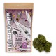 Hempower Ανθός Κάνναβης "Black Widow" 100% CBD 2G Hempower Ανθός Κάνναβης "Black Widow" 100% CBD 2G