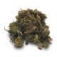 Hempower Ανθός Κάνναβης Cherry Wine CBD < 53% 4G Hempower Ανθός Κάνναβης Cherry Wine CBD < 53% 4G