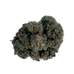 Hempower CBD Flower "Forbidden Fruit" 100% CBD 5G