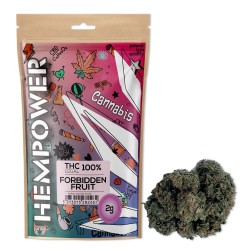 Hempower CBD Flower "Forbidden Fruit" 100% CBD 2G