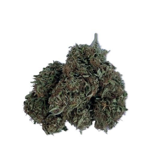 Hempower CBD Flower "King Louis XIII" 100% CBD 10G