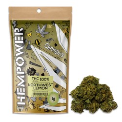 Hempower Ανθός Κάνναβης "NorthWest Lemon" 100% CBD 1G Hempower Ανθός Κάνναβης "NorthWest Lemon" 100% CBD 1G
