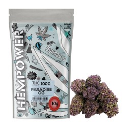 Hempower CBD Flower "Paradise OG" 100% CBD 10G