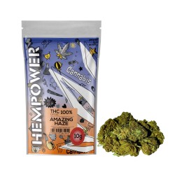 Hempower CBD Flower "Amazing Haze" 100% CBD 10G