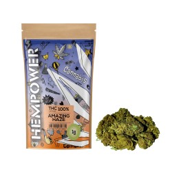 Hempower CBD Flower " Amazing Haze" 100% CBD 1G