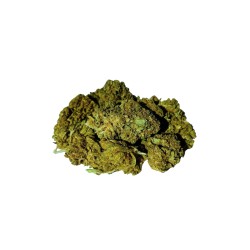 Hempower CBD Flower " Amazing Haze" 100% CBD 1G