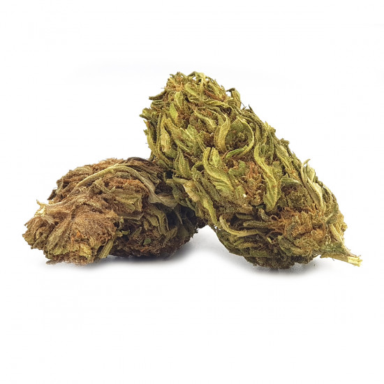 Hempower Ανθός Κάνναβης BUD GIRL BLUE DREAM 25% CBD 2G Hempower Ανθός Κάνναβης BUD GIRL BLUE DREAM 25% CBD 2G