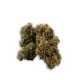 Hempower Ανθός Κάνναβης Black Amber CBD < 69% 1G Hempower Ανθός Κάνναβης Black Amber CBD < 69% 1G