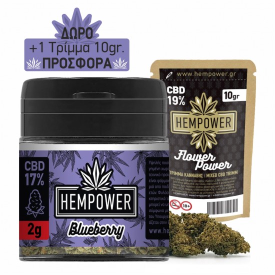 Hempower Ανθός Κάνναβης BLUEBERRY 17% CBD 2G + 1 Τριμμα 10γρ ΔΩΡΟ Hempower Ανθός Κάνναβης BLUEBERRY 17% CBD 2G + 1 Τριμμα 10γρ ΔΩΡΟ