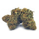 Hempower Ανθός Κάνναβης GELATO PREMIUM 29% CBD 2G Hempower Ανθός Κάνναβης GELATO PREMIUM 29% CBD 2G