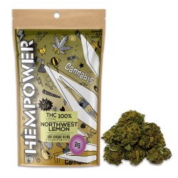 Hempower Ανθός Κάνναβης "NorthWest Lemon" 100% CBD 2G