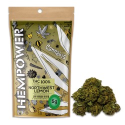 Hempower Ανθός Κάνναβης "NorthWest Lemon" 100% CBD 5G