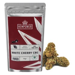 Hempower Ανθός Κάνναβης White Cherry 100% CBG 10gr, (1+1 Δώρο) Hempower Ανθός Κάνναβης White Cherry 100% CBG 10gr, (1+1 Δώρο)