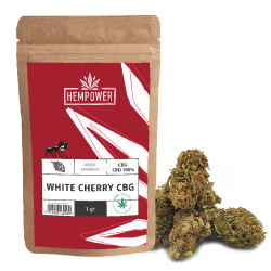 Hempower Ανθός Κάνναβης White Cherry 100% CBG 1gr, (1+1 Δώρο) Hempower Ανθός Κάνναβης White Cherry 100% CBG 1gr, (1+1 Δώρο)