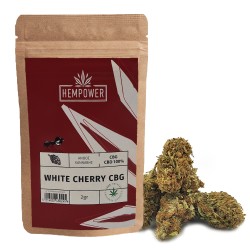 Hempower Ανθός Κάνναβης White Cherry 100% CBG 2gr, (1+1 Δώρο) Hempower Ανθός Κάνναβης White Cherry 100% CBG 2gr, (1+1 Δώρο)