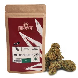 Hempower Ανθός Κάνναβης White Cherry 100% CBG 4gr, (1+1 Δώρο)  Hempower Ανθός Κάνναβης White Cherry 100% CBG 4gr, (1+1 Δώρο)