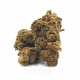 BUD GIRL JUICY BERRY 2G 25% CBD BUD GIRL JUICY BERRY 2G 25% CBD
