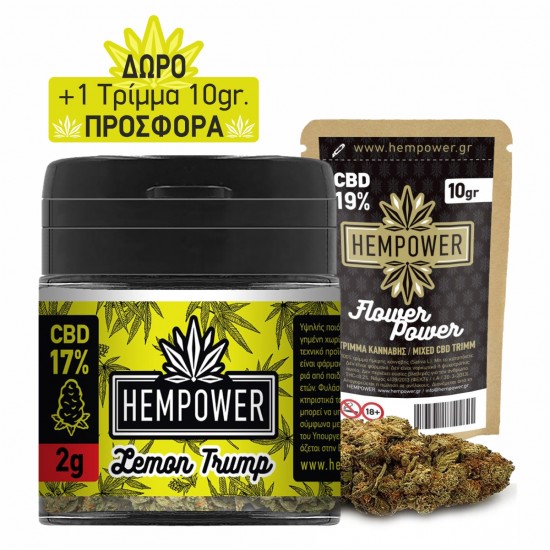 Hempower Ανθός Κάνναβης LEMON TRUMP 17% CBD 2G + 1 Τρίμμα 10γρ ΔΩΡΟ Hempower Ανθός Κάνναβης LEMON TRUMP 17% CBD 2G + 1 Τρίμμα 10γρ ΔΩΡΟ
