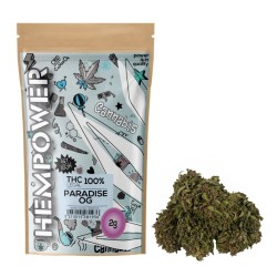 Hempower CBD Flower "Paradise OG" 100% CBD 2G