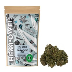 Hempower CBD Flower "Paradise OG" 100% CBD 5G