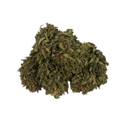 Hempower CBD Flower "Paradise OG" 100% CBD 5G