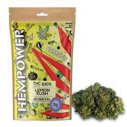 Hempower Red Leaf Ανθός Κάνναβης "Lemon Kush" 3G