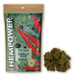 Hempower Red Leaf Ανθός Κάνναβης "Gorilla Glue" 1G