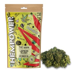 Hempower Red Leaf Ανθός Κάνναβης "Lemon Kush" 1G