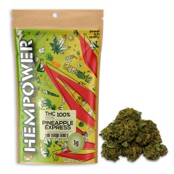 Hempower Red Leaf Ανθός Κάνναβης "Pineapple Express" 1G
