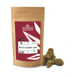 Hempower Ανθός Κάνναβης White Cherry 100% CBG 50gr Hempower Ανθός Κάνναβης White Cherry 100% CBG 50gr