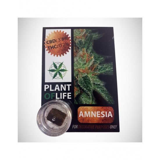 3.8% AMNESIA CBD SOLID 1GR 3.8% AMNESIA CBD SOLID 1GR