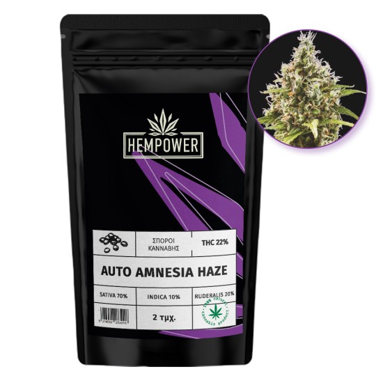 Hempower Seeds Auto Amnesia Haze fem. 2pcs