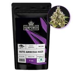 Hempower Seeds Auto Amnesia Haze fem. 5pcs Hempower Seeds Auto Amnesia Haze fem. 5pcs