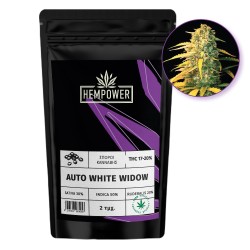Hempower Seeds Auto White Widow fem. 2pcs Hempower Seeds Auto White Widow fem. 2pcs