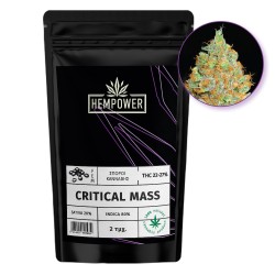 Hempower Seeds  fem. Critical Mass 2pcs Hempower Seeds  fem. Critical Mass 2pcs