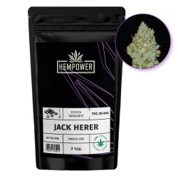 Hempower Seeds fem. Jack Herer 2pcs Hempower Seeds fem. Jack Herer 2pcs