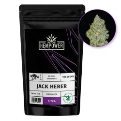 Hempower Seeds fem. Jack Herer 5pcs Hempower Seeds fem. Jack Herer 5pcs